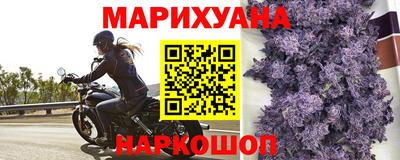 мяу мяу мука Ачхой-Мартан